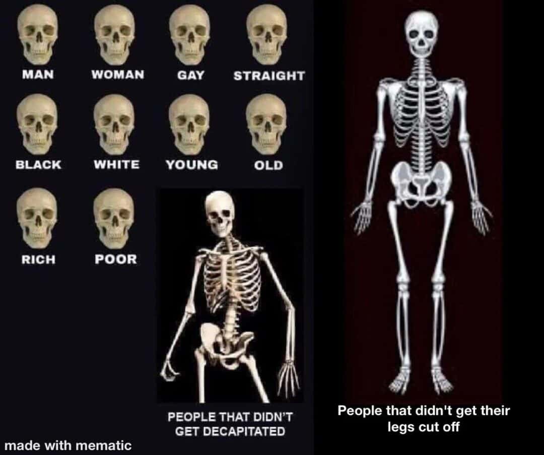 Skeleton meme showing all human categories equal after death