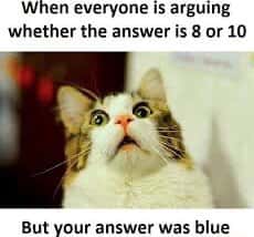 Scared cat meme looking shocked when everyone argues answer is 8 or 10 but your answer was blue