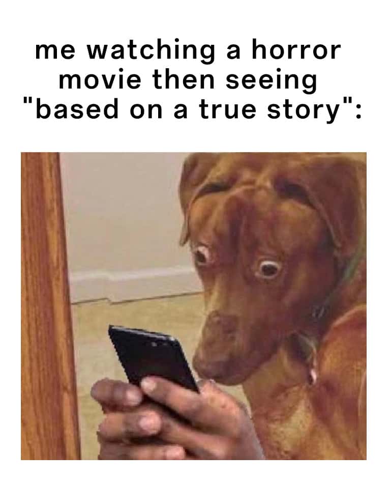 Scared dog meme shocked by horror movie true story tag