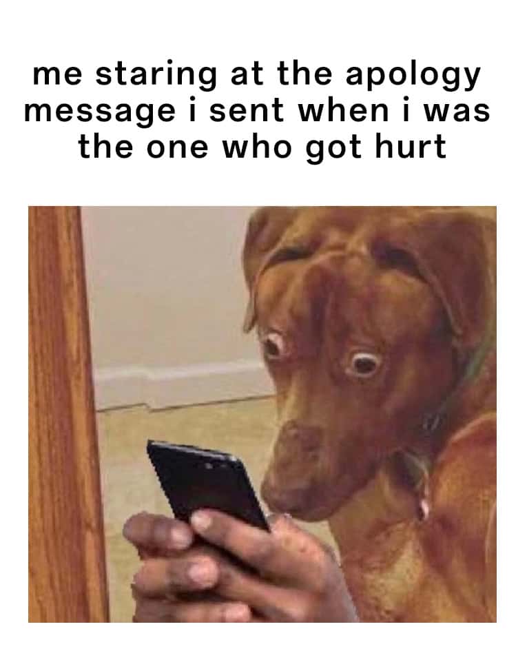 Scared dog meme staring at own apology message