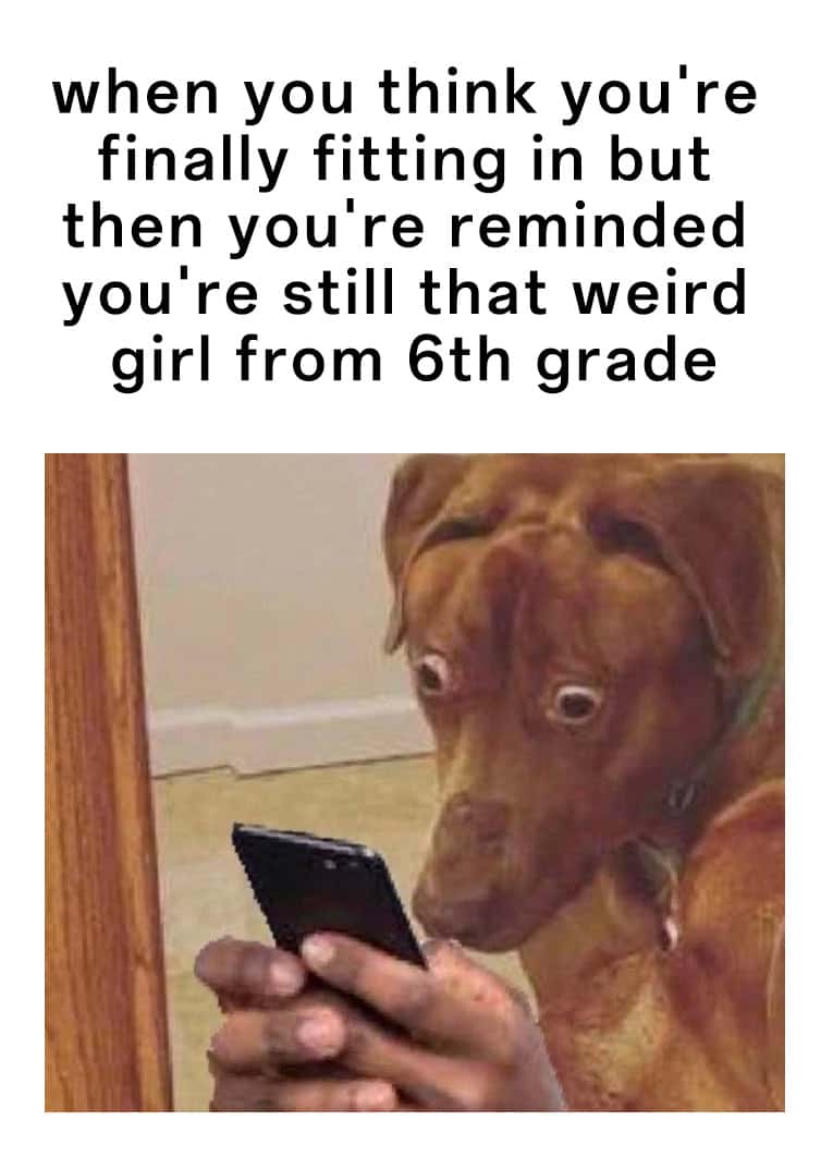 Scared dog meme shocked by old awkward school memories