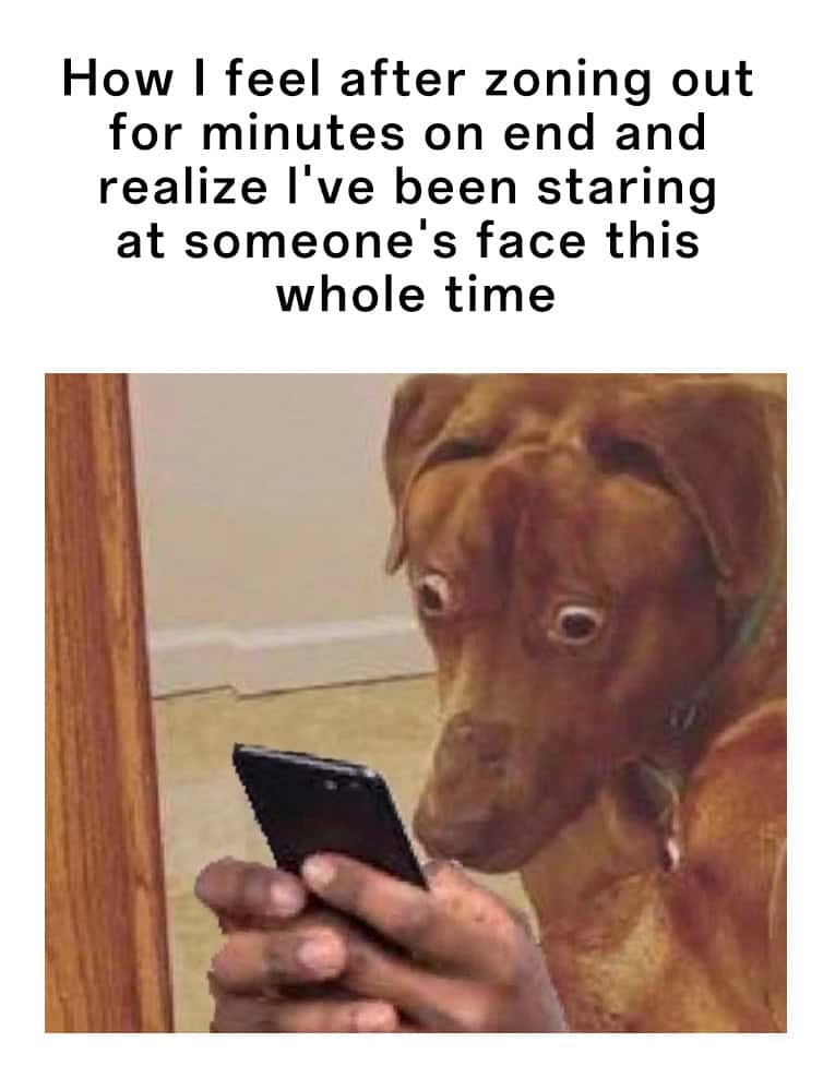 Scared dog meme zoning out and staring at someone's face
