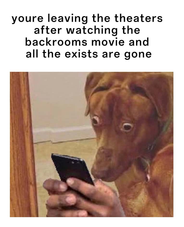 Scared dog meme leaving theater after Backrooms movie