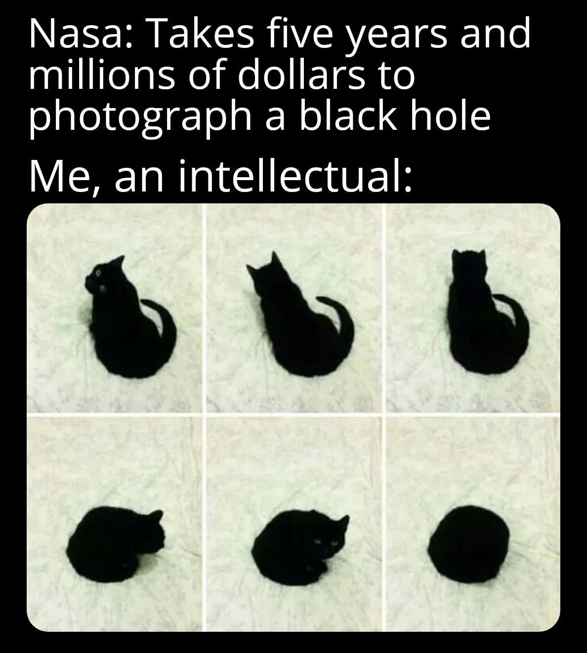 Cat meme black cat spins around to perfectly mimic a black hole