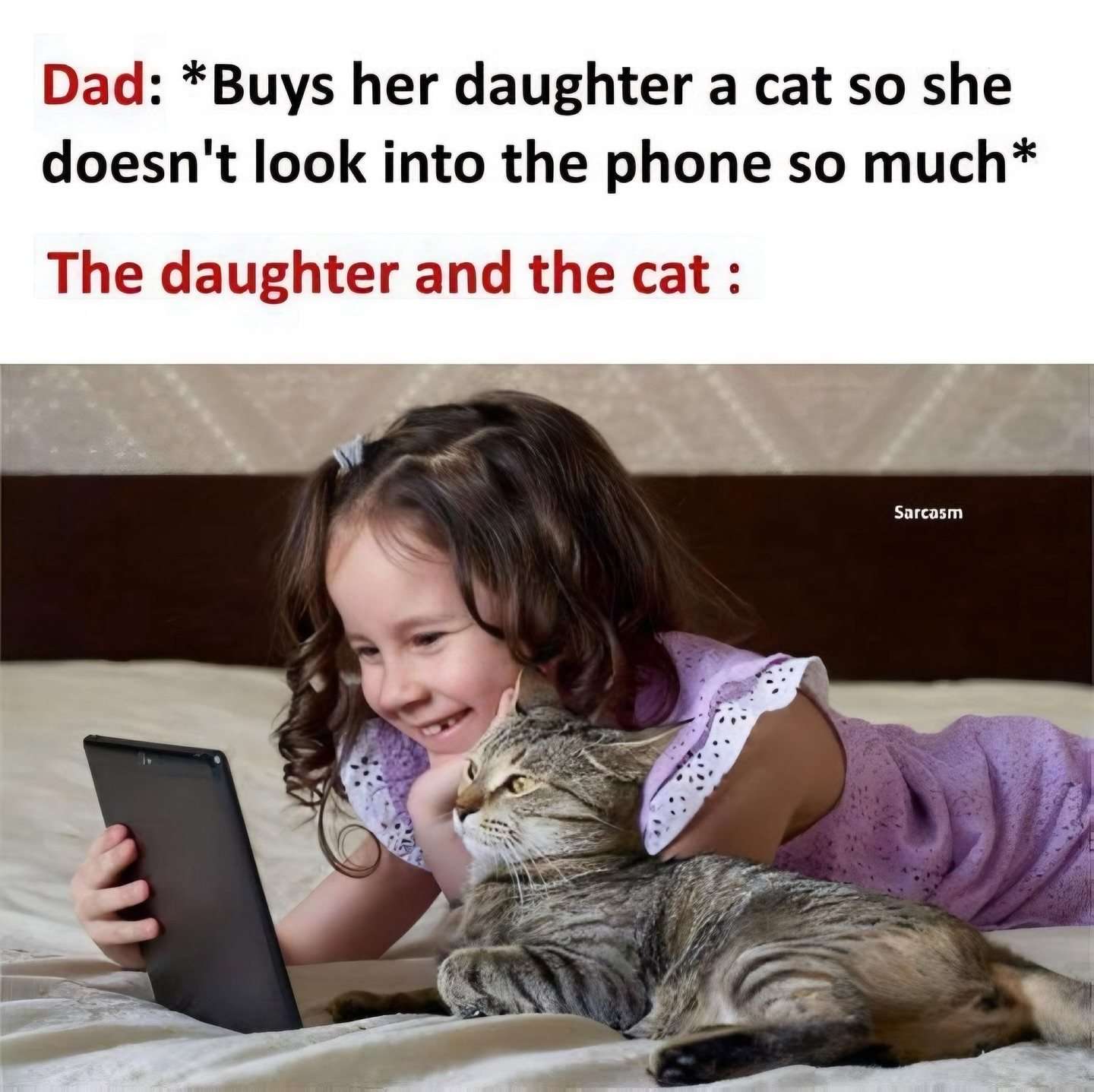 Dad buys cat meme daughter uses phone with cat anyway