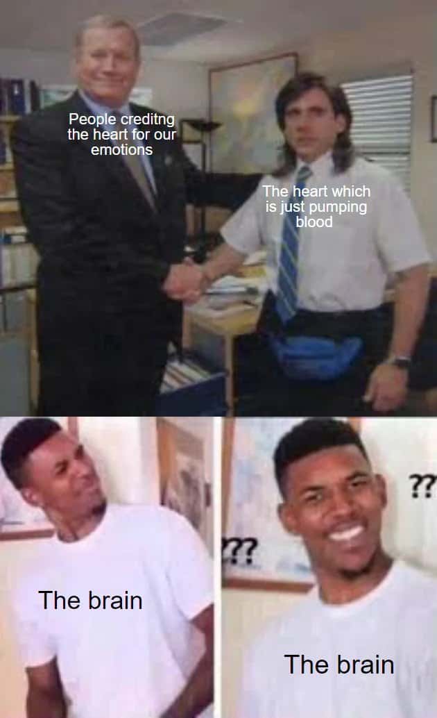 Confused brain meme watching people credit the heart for all human emotions