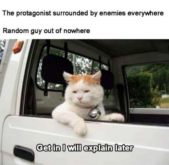 Adventurous cat meme about unexpected rescue scene in media