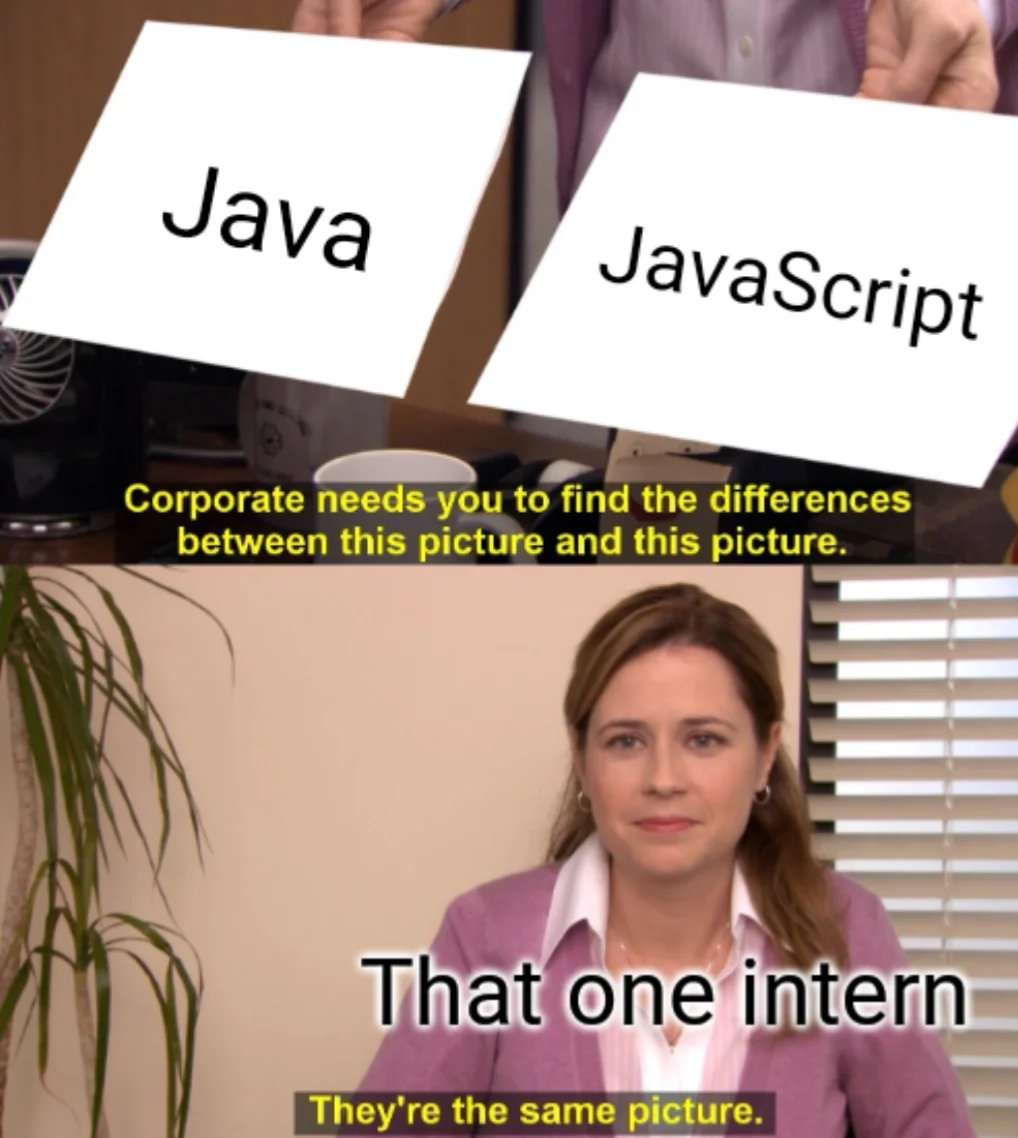 They're the same picture meme java javascript intern