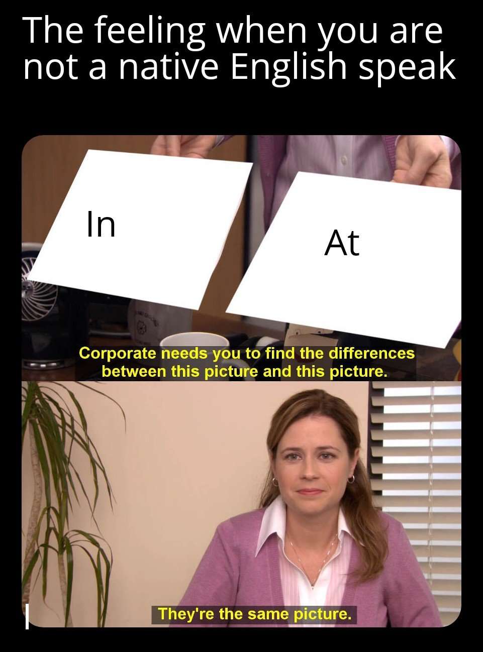 They're the same picture meme in vs at grammar confusion