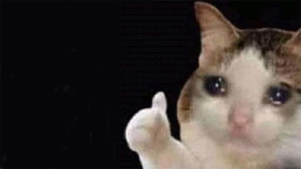 Thumbs up crying cat meme template