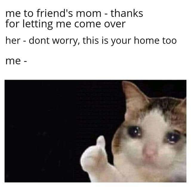 Thumbs up crying cat meme friend's mom says it's your home too