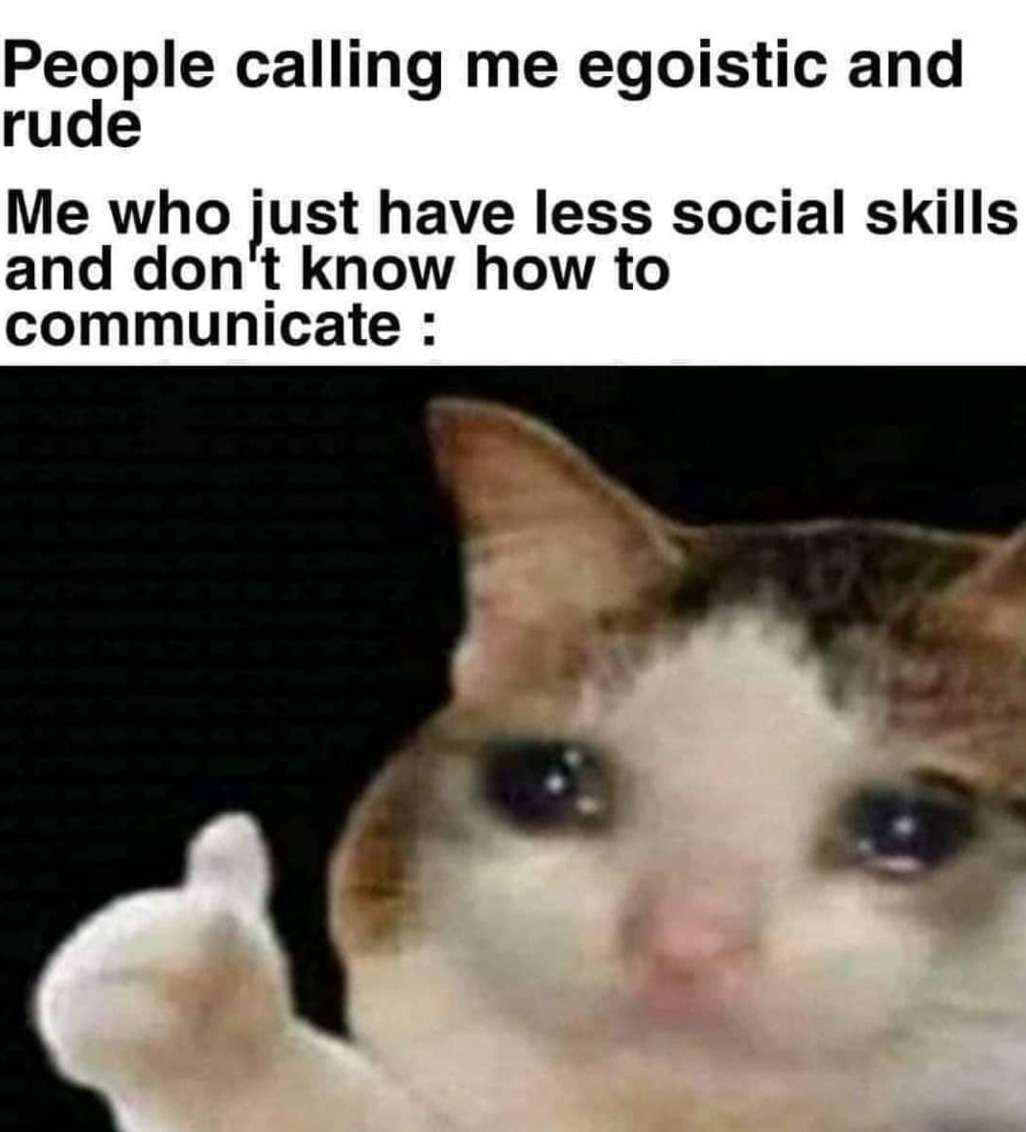 Thumbs up crying cat meme being called rude for bad social skills