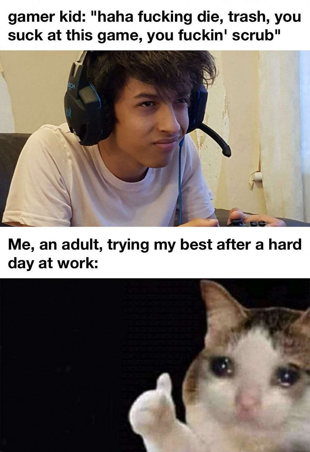 Thumbs up crying cat meme getting roasted by toxic gamer kids