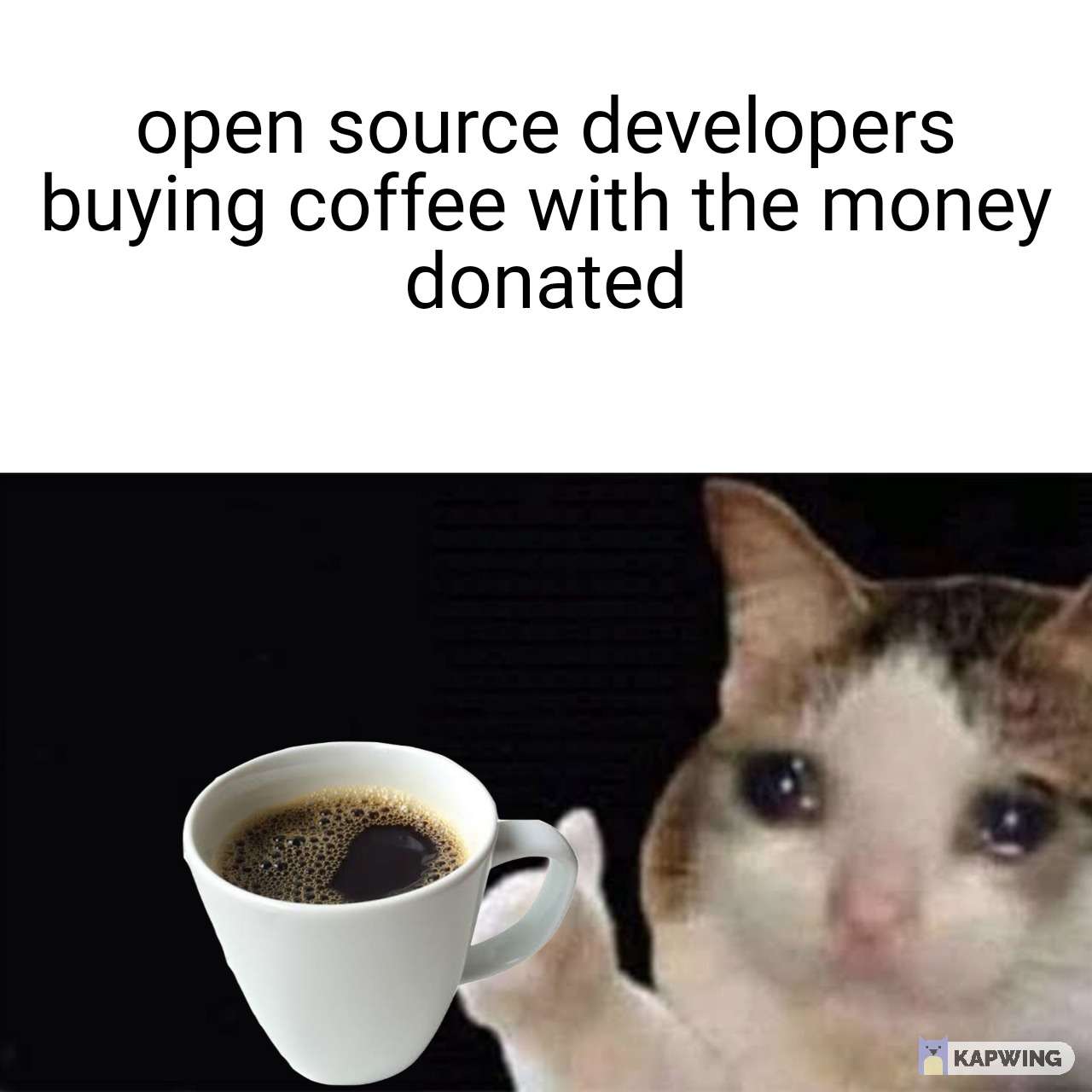 Thumbs up crying cat meme open source dev buying coffee with donations