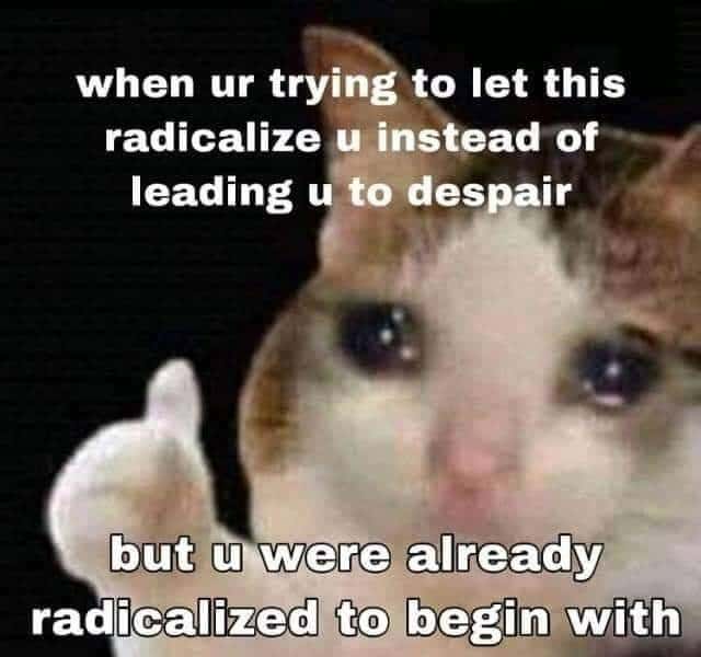 Thumbs up crying cat meme already radicalized before despair