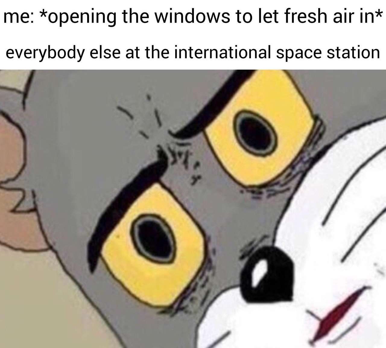 Unsettled tom meme opens windows on space station Unsettled tom meme opens windows on space station