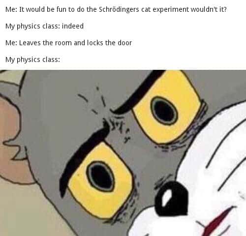 Unsettled tom meme locks physics class in Schrödinger test Unsettled tom meme locks physics class in Schrödinger test
