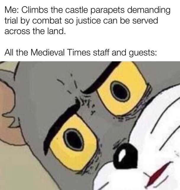 Unsettled tom meme trial by combat at Medieval Times Unsettled tom meme trial by combat at Medieval Times