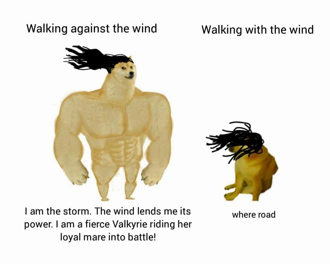 Funny meme showing dramatic vs pathetic reactions to wind