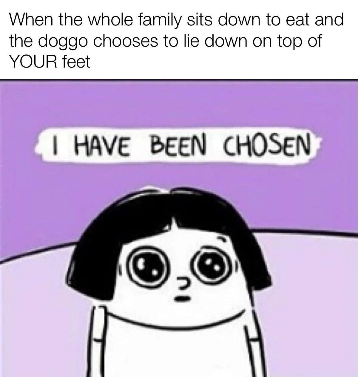Proud dog parent meme getting chosen by the family dog to lay on their feet at dinner