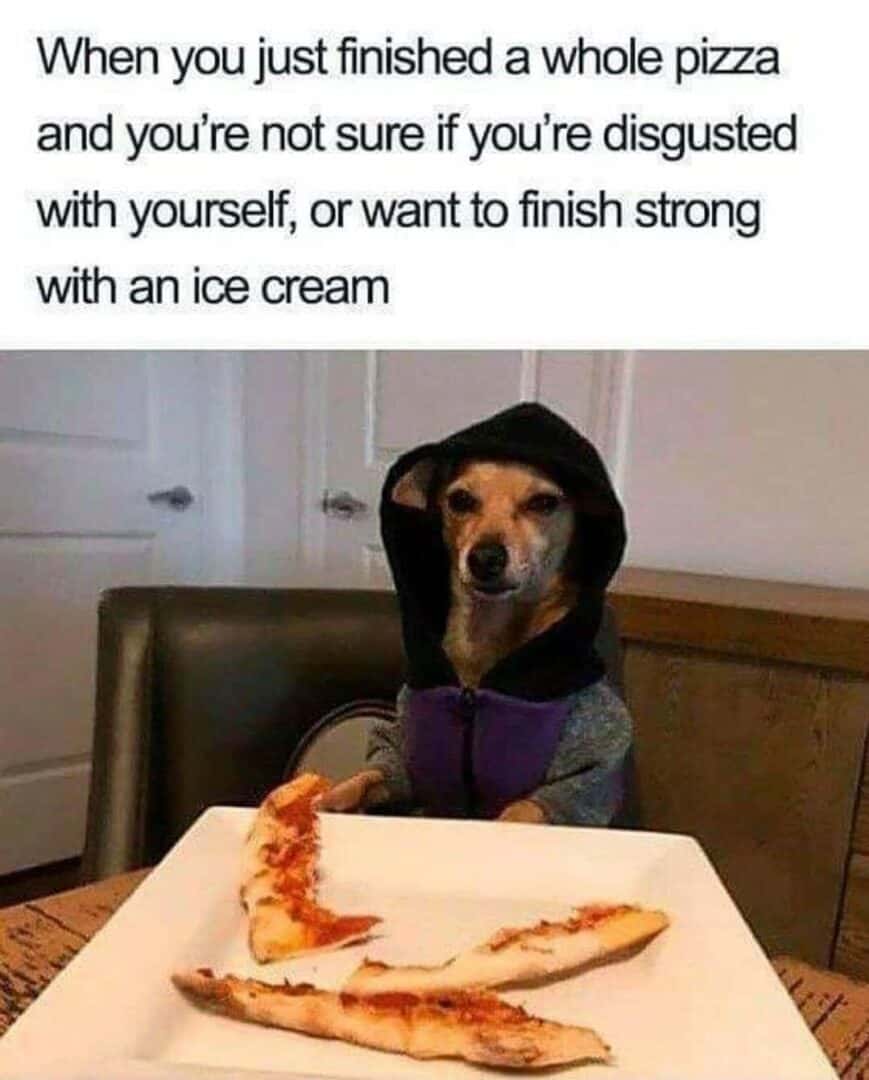 Dog eating pizza meme post-pizza dilemma