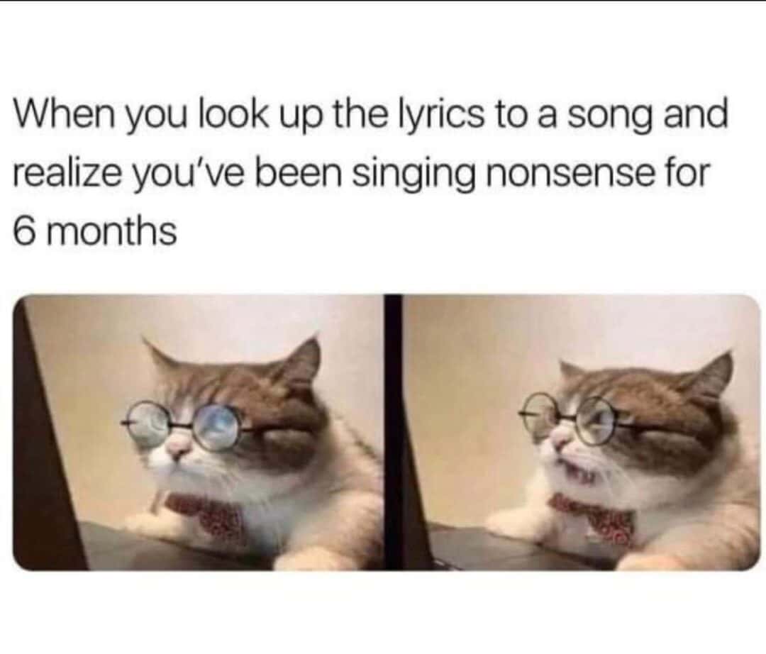 Cat with glasses meme shocked after looking up song lyrics realizing you sang nonsense for 6 months