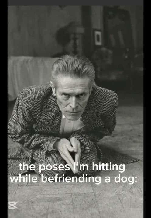 Willem dafoe meme pose while befriending a dog