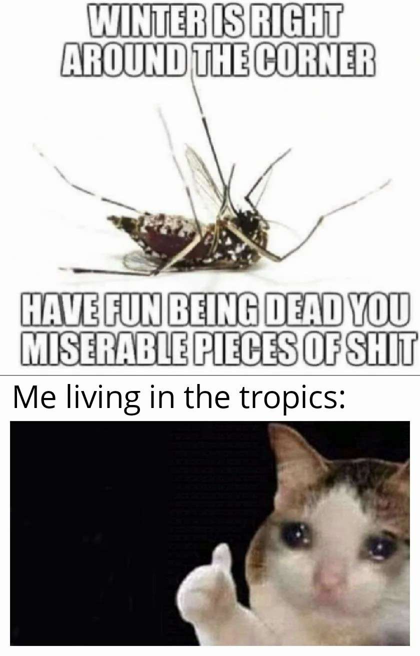 Winter kills mosquitoes meme person living in the tropics crying cat thumbs up