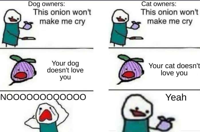 Dog and cat owners meme reacting differently when onion says their pet does not love them