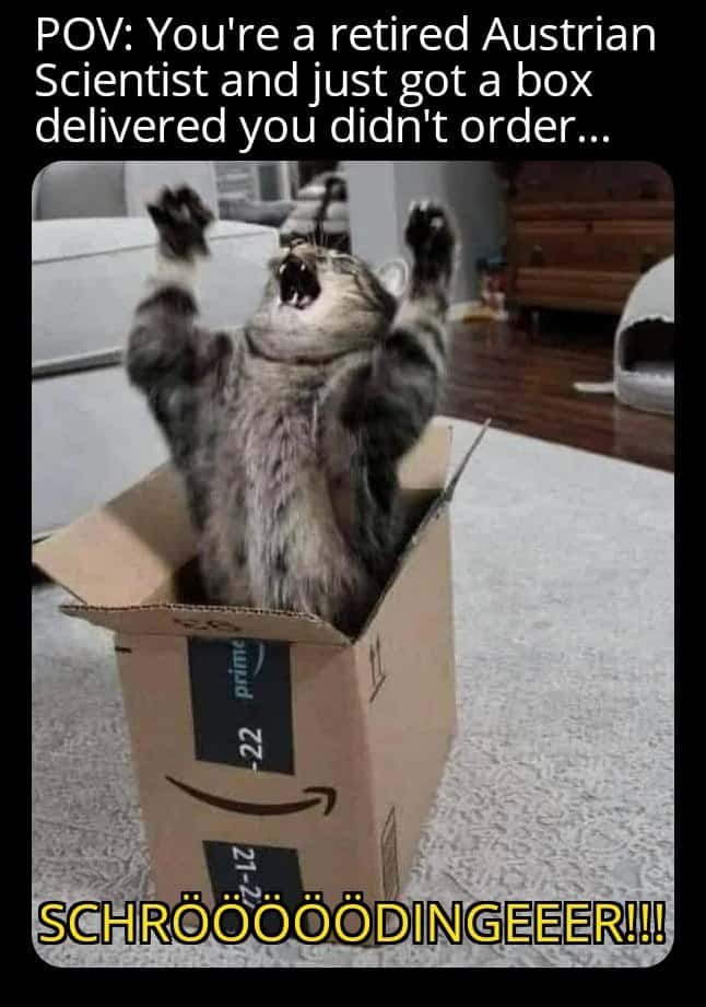 Cat meme retired Austrian scientist gets unordered box