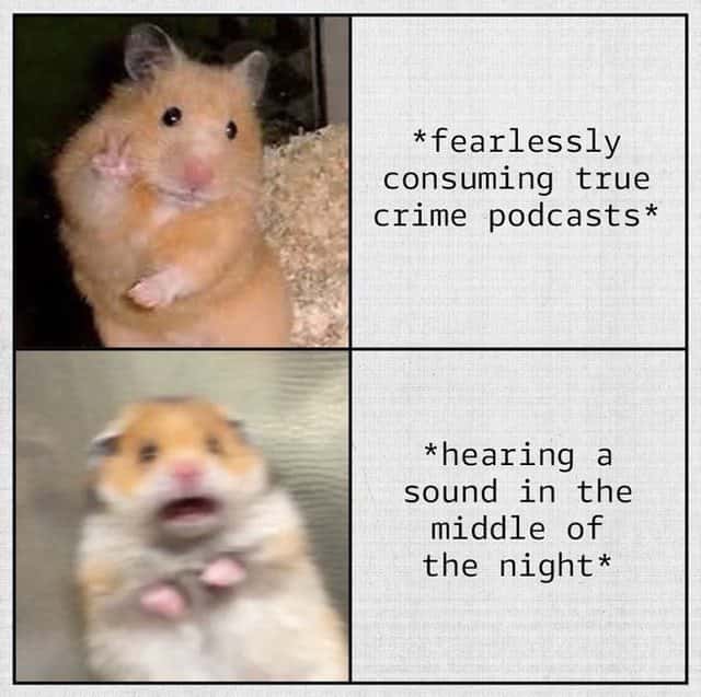 Hamster meme fearlessly consuming true crime podcasts then panicking at midnight sound