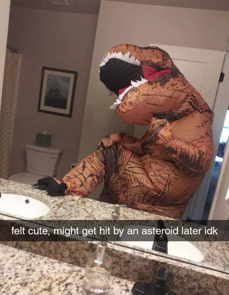 T-Rex meme taking a bathroom mirror selfie felt cute might get hit by an asteroid later idk