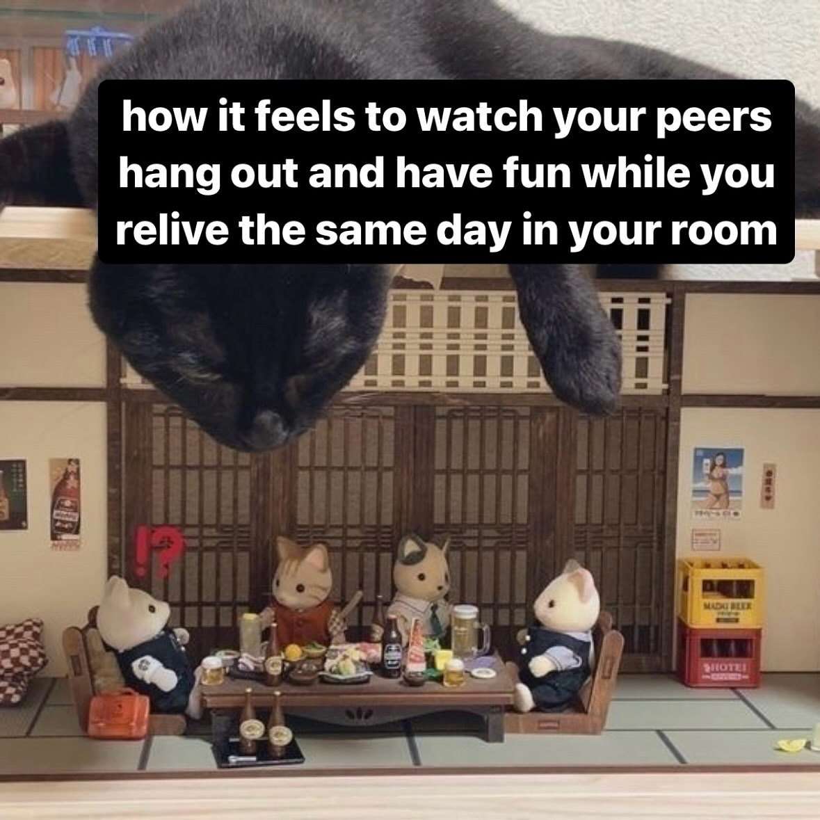 Black cat meme watching peers hang out having fun while you relive same day in your room
