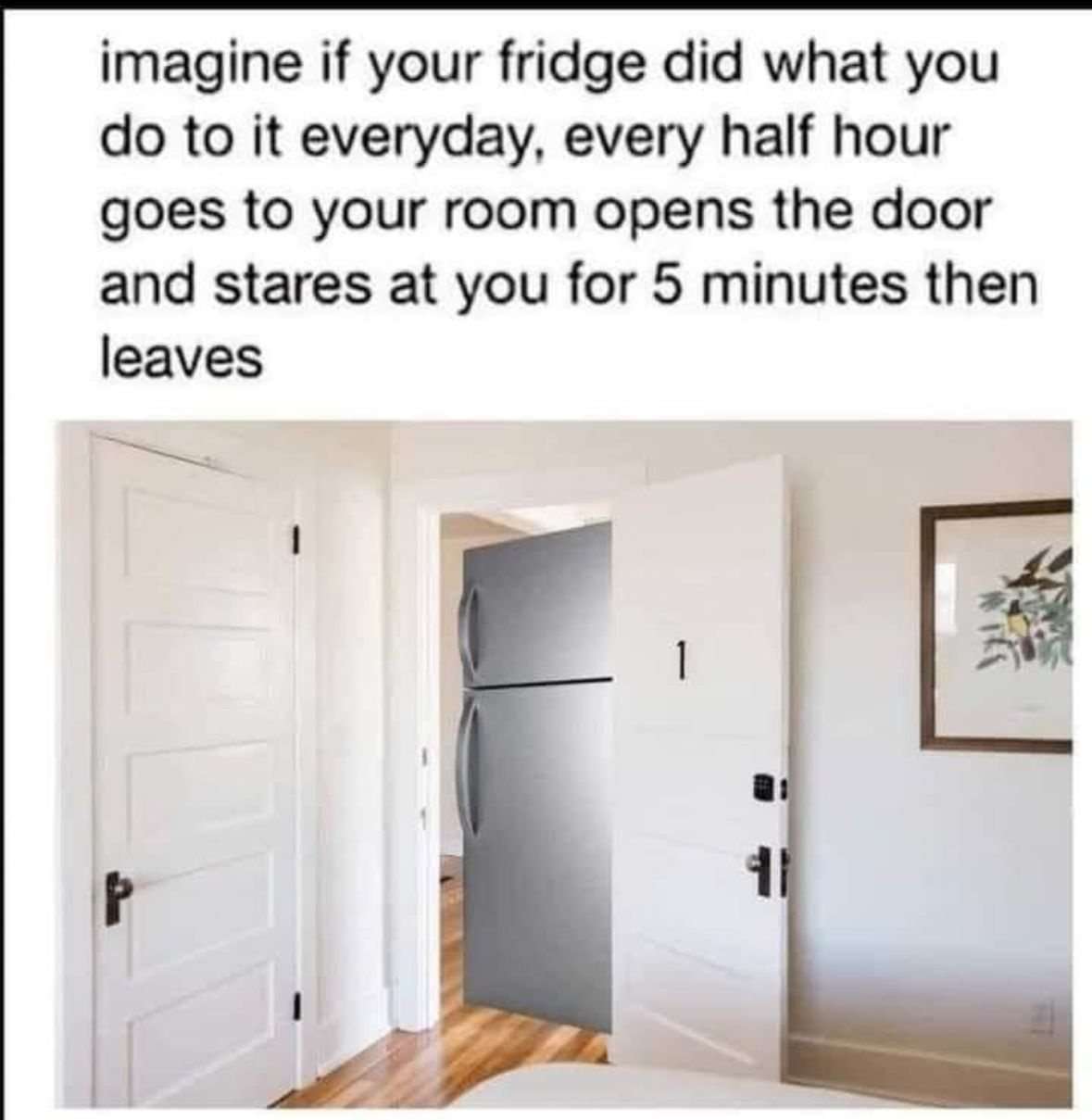 Fridge meme opens your room door and stares at you