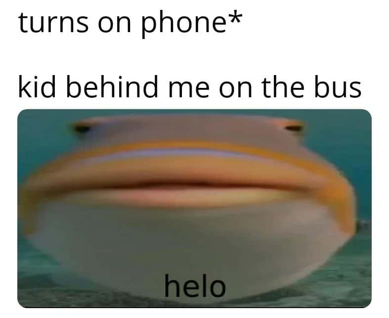 Fish meme kid behind me on the bus saying helo
