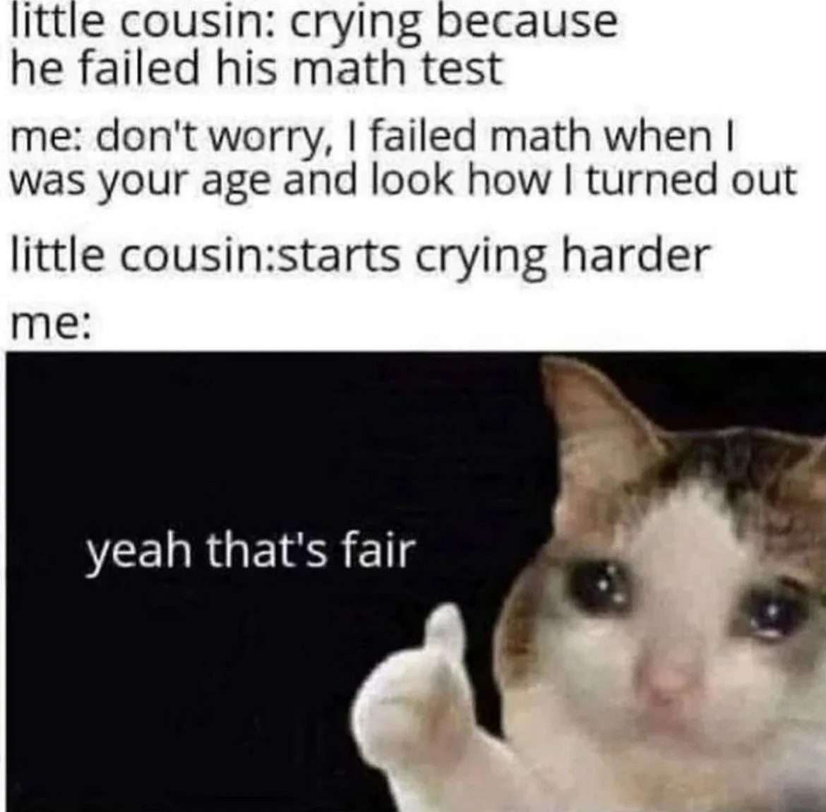 Crying cat meme about accidentally making a cousin cry harder