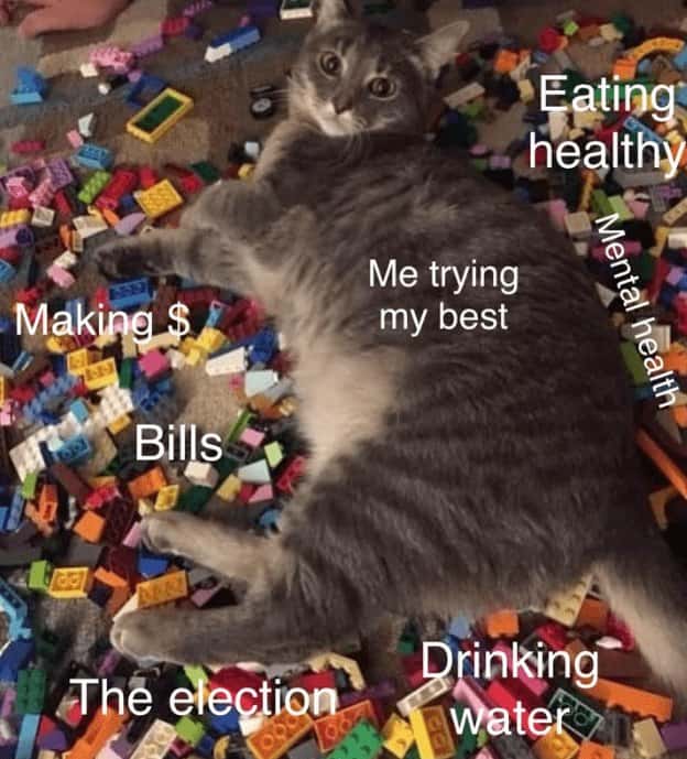 Cat meme trying best to manage life while overwhelmed by bills and daily stress