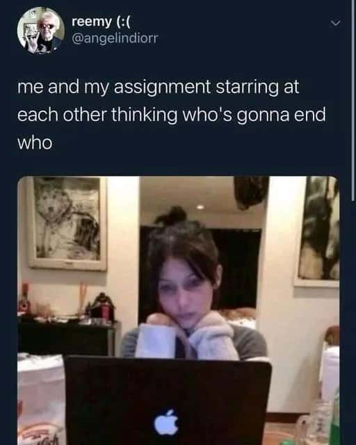 Tired student meme staring at assignment wondering who will end who