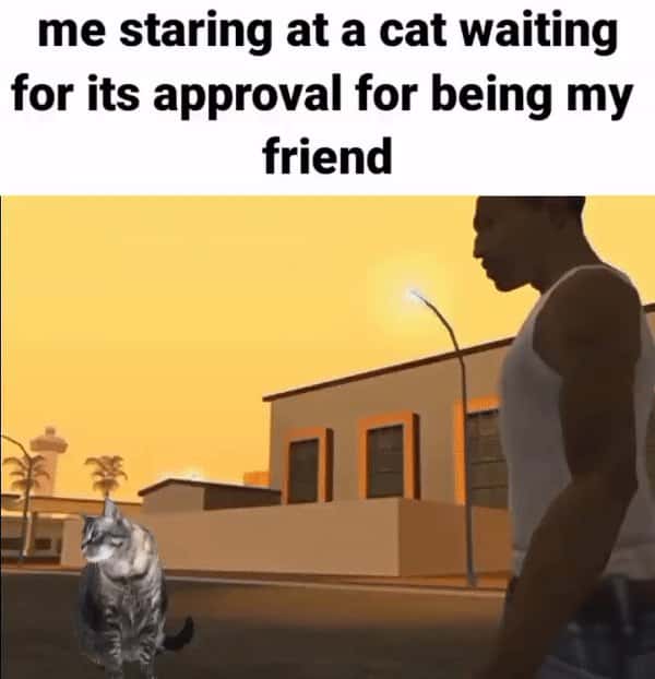 Cat meme gta cj waits for a cat to approve him as a friend