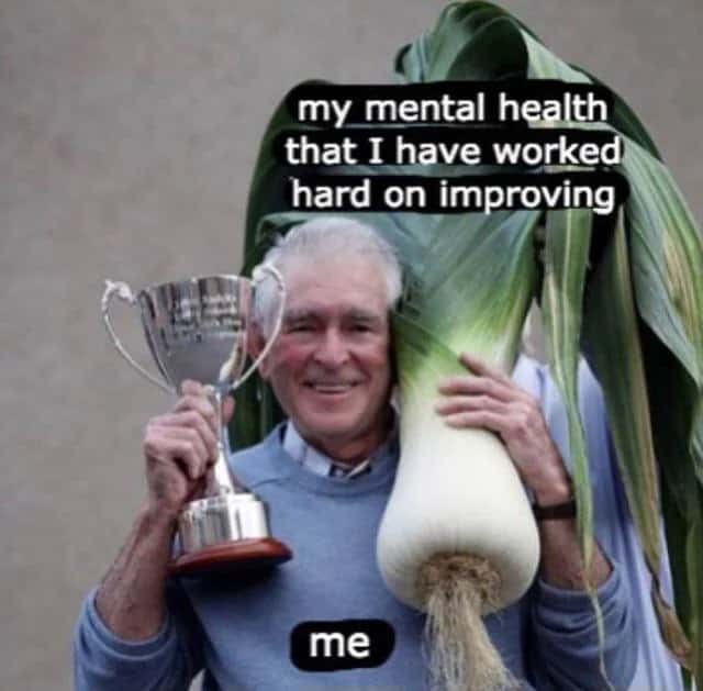 meme holding my mental health like a giant leek