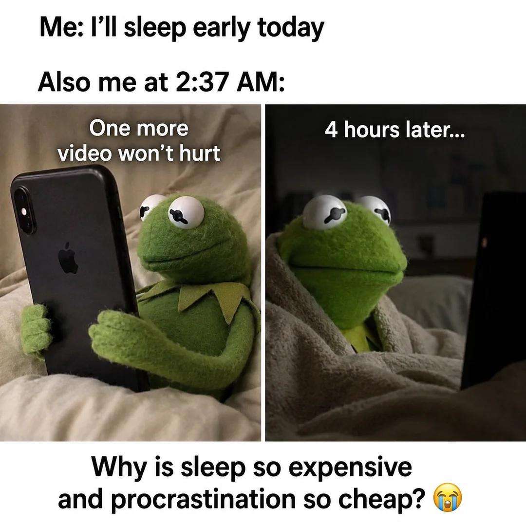 Kermit the frog meme staying up late watching videos instead of sleeping early