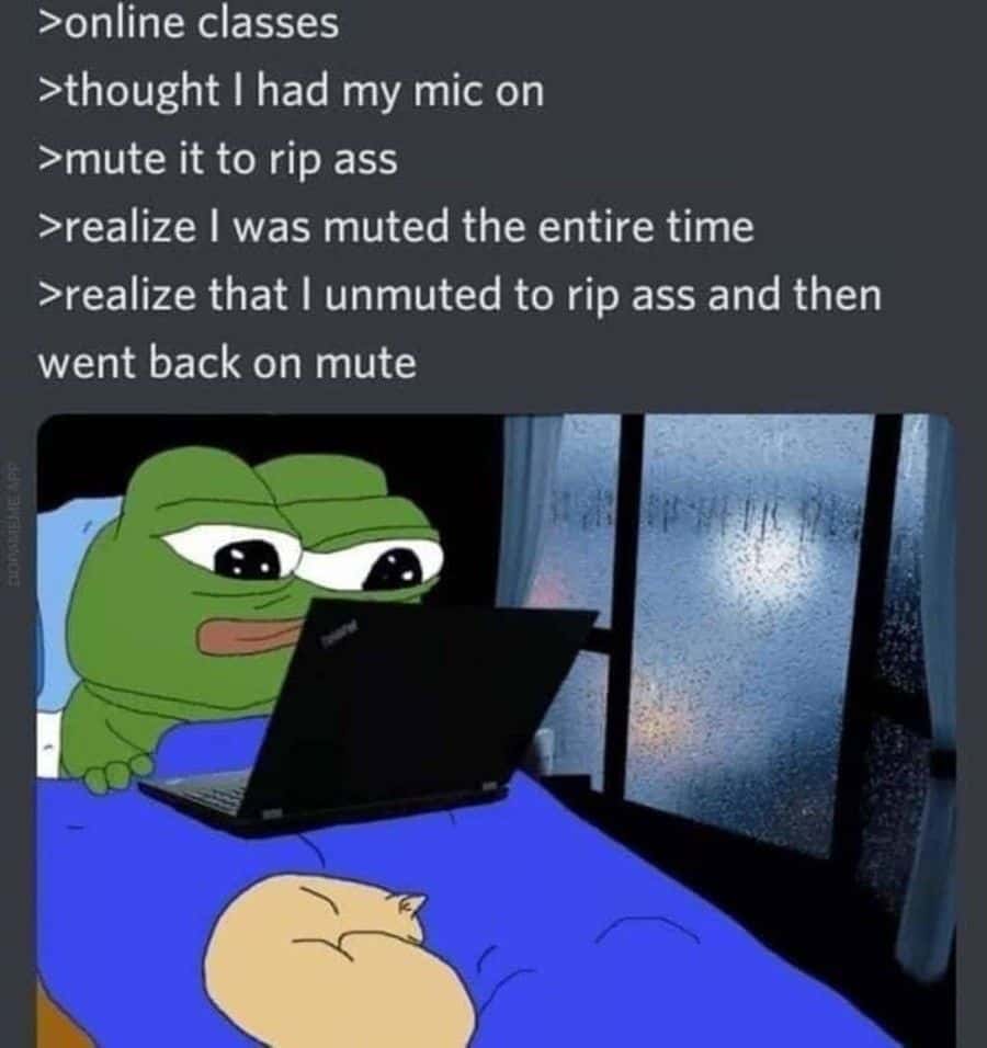 Pepe meme unmutes in online class to rip ass