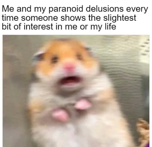 Scared hamster meme panicking when someone shows slightest bit of interest in your life
