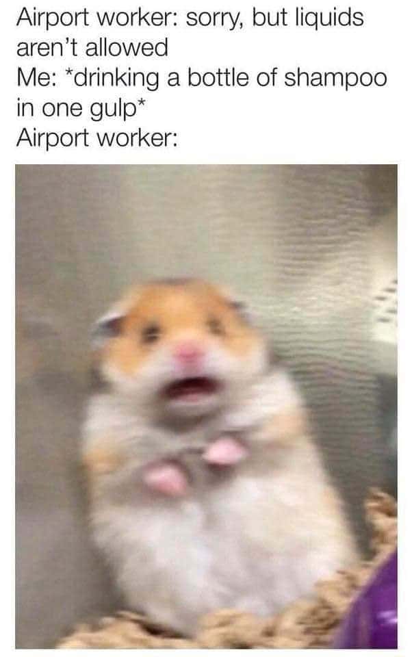 Scared hamster meme shocked seeing passenger chug shampoo at airport security