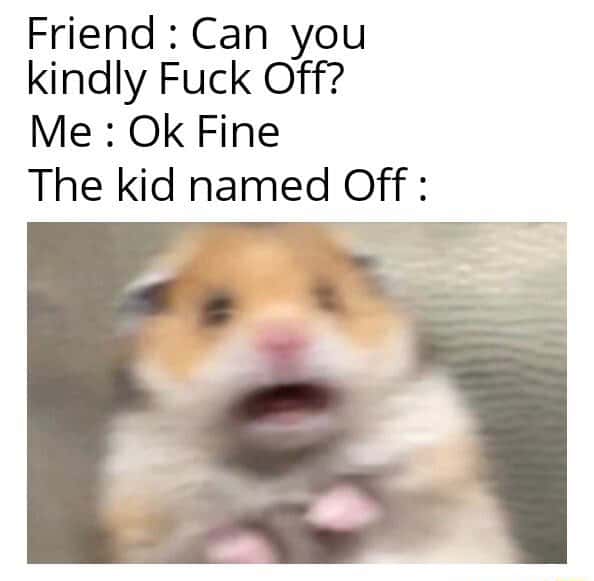 Scared hamster meme shocked as the kid named off reacts to the funny pun line