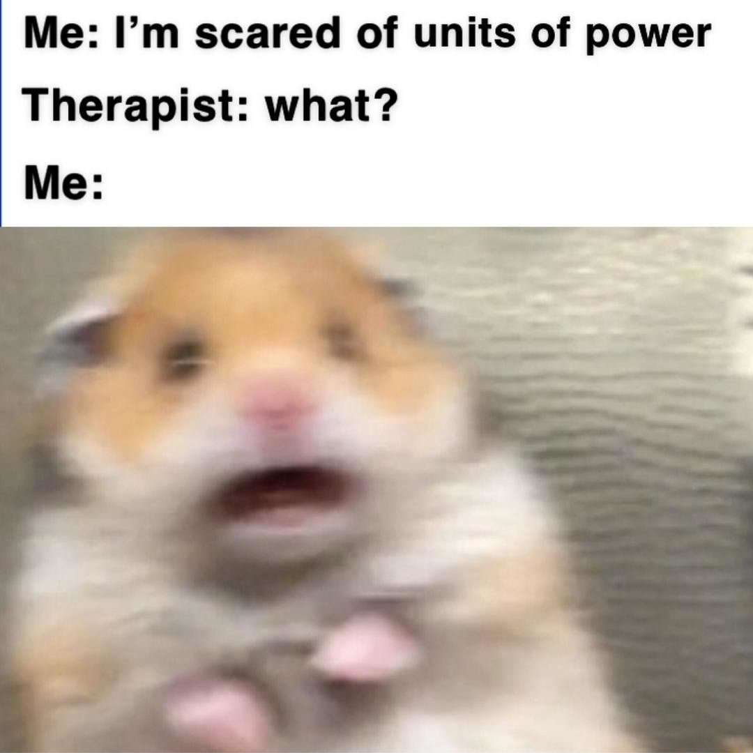 Scared hamster meme panicking when admitting fear of units of power to therapist