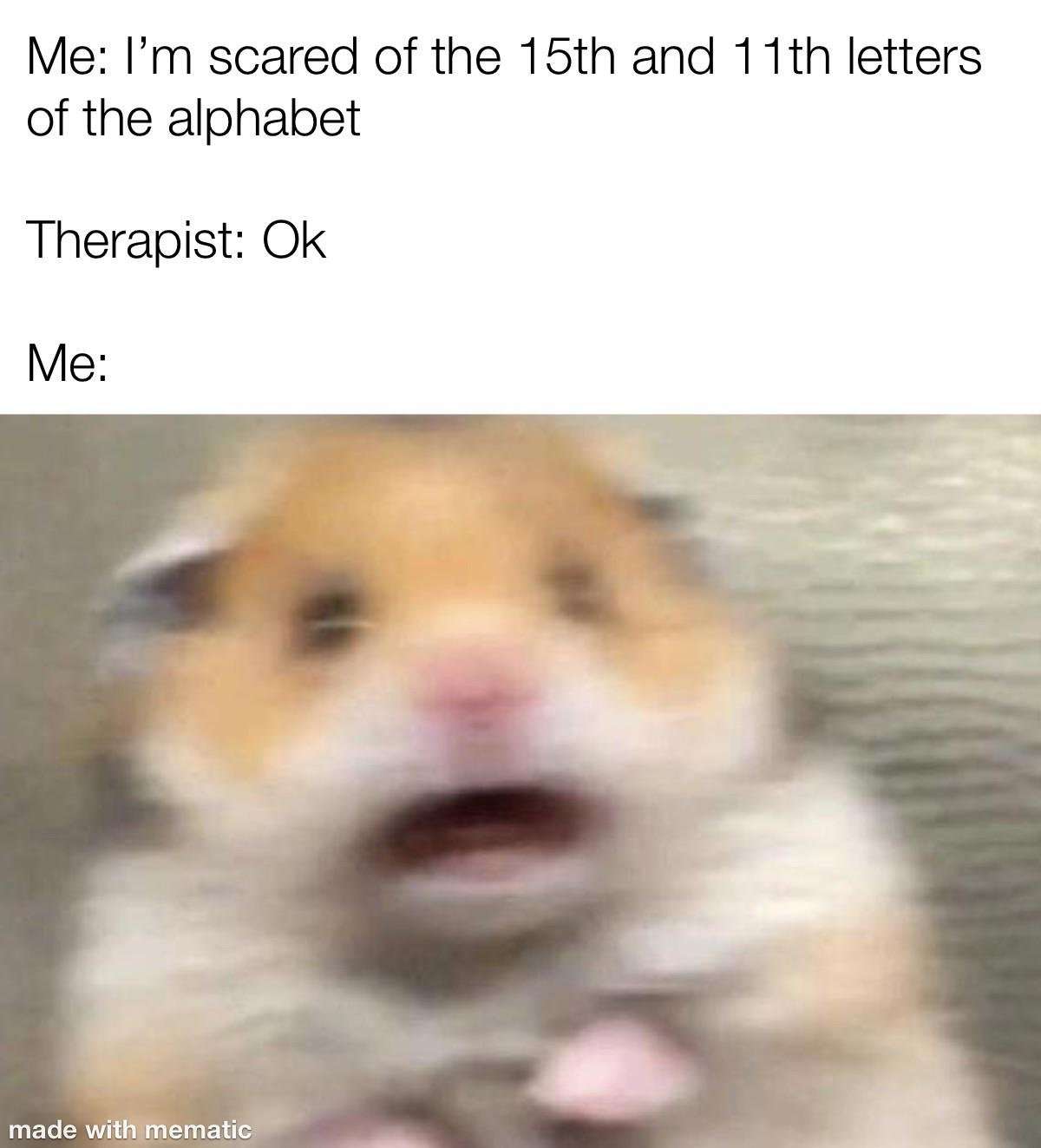 Scared hamster meme panicking when therapist says ok to his fear of 11th and 15th alphabet letters