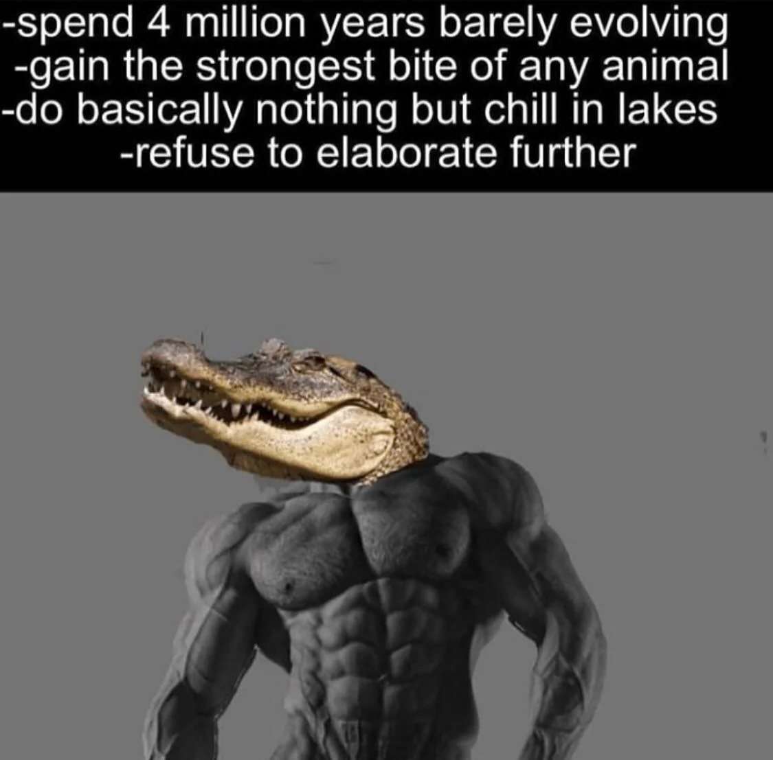Buff alligator meme spends 4 million years barely evolving refuses to elaborate further