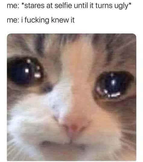 Crying cat meme about overthinking and hating your selfie