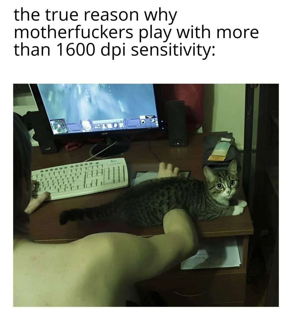 Tabby cat meme lying on mouse pad forcing gamer to use over 1600 dpi sensitivity